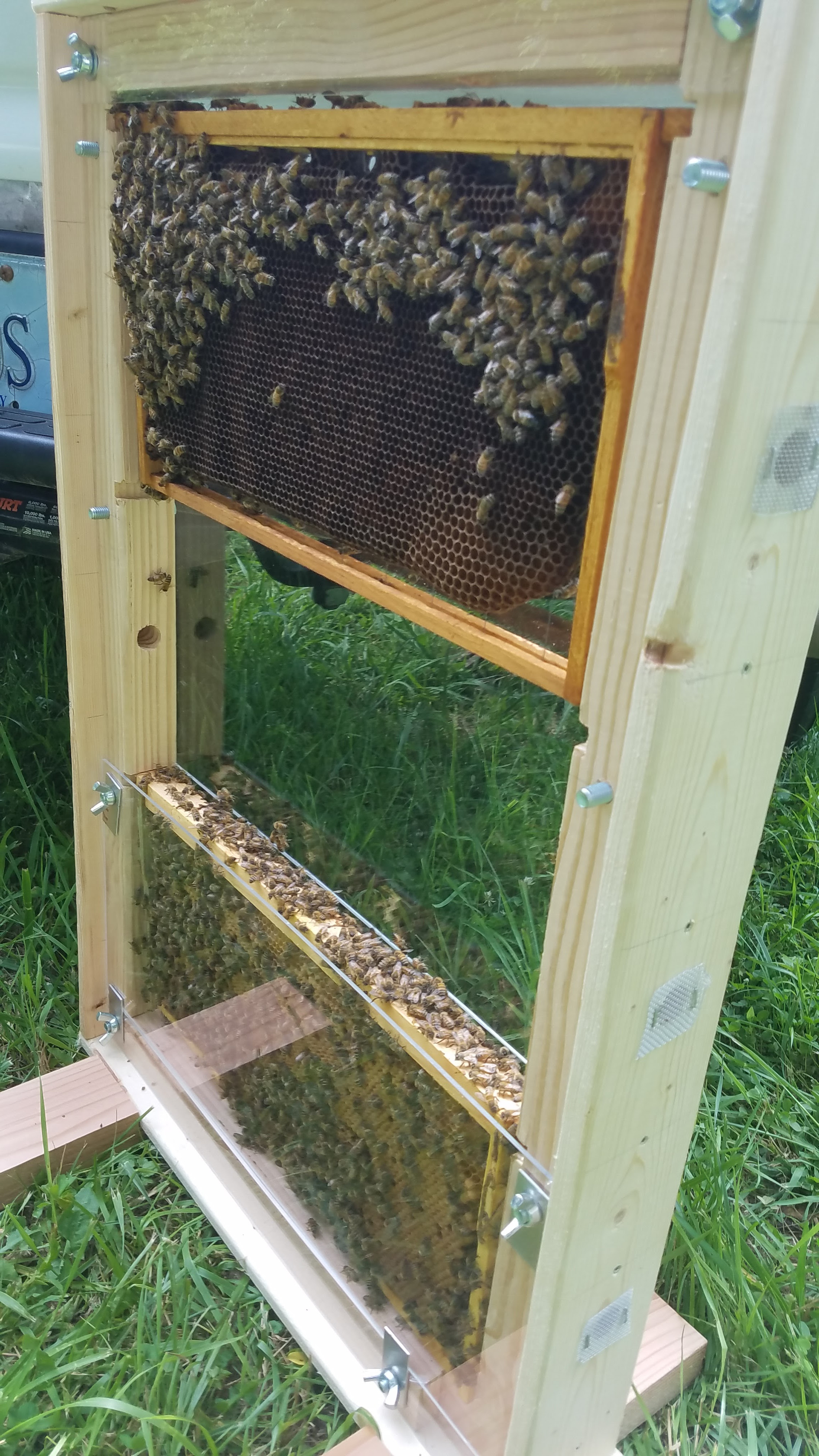 Filling bees was easy